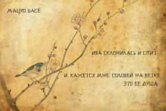 scale_1200-1